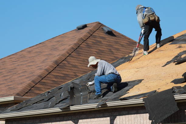 Best Gutter Installation and Repair  in Leakesville, MS